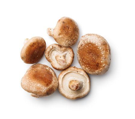 Fresh shiitake mushrooms isolated on the white background.の写真素材