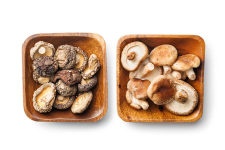 Fresh and dried shiitake mushrooms isolated on the white background.の写真素材