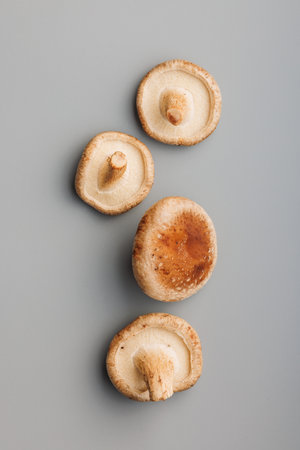 Fresh shiitake mushrooms on the gray background. Top view.の写真素材