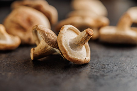 The fresh shiitake mushrooms on the black table.の写真素材