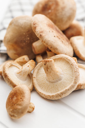 The fresh shiitake mushroomsの写真素材