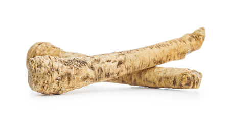 Fresh horseradish root isolated on the white background.の写真素材