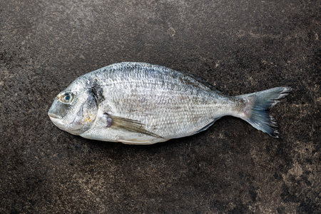 Fresh sea bream fish on a kitchen table. Top view.の写真素材
