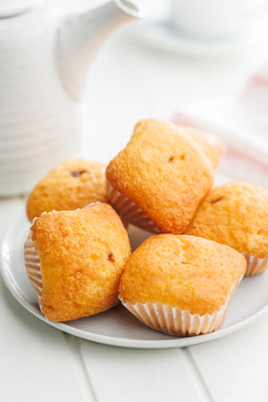 Magdalenas the typical Spanish plain muffins on a plate on a white table.の写真素材