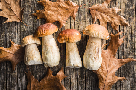 Fresh boletus mushrooms on a wooden table. Top view.の写真素材