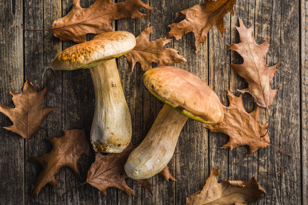 Fresh boletus mushrooms on a wooden table. Top view.の写真素材