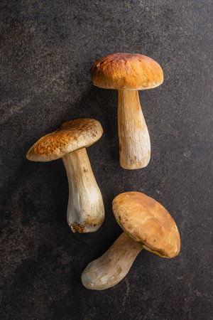 Fresh boletus mushrooms on a kitchen table. Top view.の写真素材