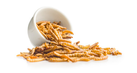 Dried salted worms. Roasted mealworms in a bowl isolated on a white background.の写真素材