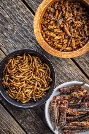 Dried salted insects. Mealworms, grasshoppers and crickets in a bowl on a wooden table. Top view.の写真素材