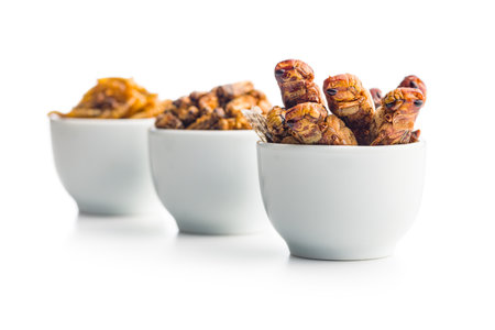 Dried salted insects. Mealworms, grasshoppers and crickets in a bowl isolated on a white background.の写真素材