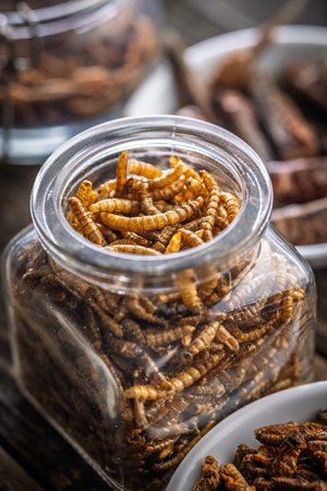 Dried salted worms. Roasted mealworms in jar on a wooden table.の写真素材