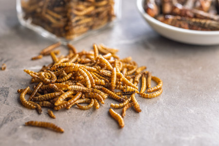 Dried salted worms. Roasted mealworms on a kitchen table.の写真素材