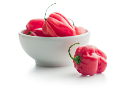 Red chili pepper habanero on a white background.の写真素材