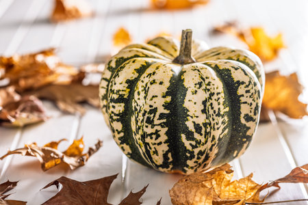 Sweet dumpling pumpkin on a white table.の写真素材