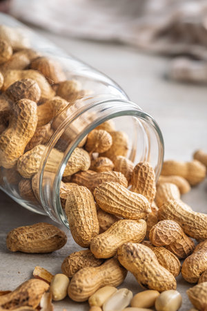 Peanuts in shell. Groundnuts in a jar on a kitchen table.の写真素材