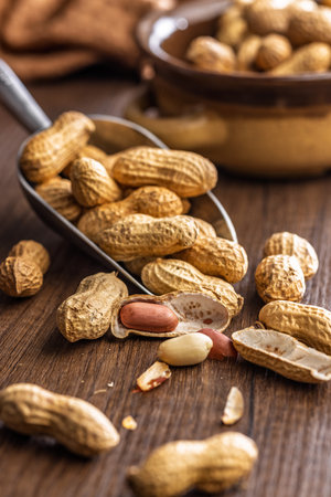 Peanuts in shell. Groundnuts in a scoop on a wooden table.の写真素材