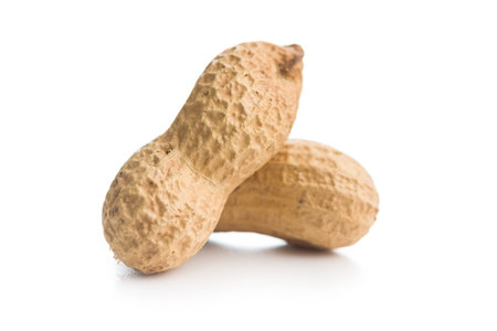 Peanuts in shell. Groundnuts isolated on a white background.の写真素材