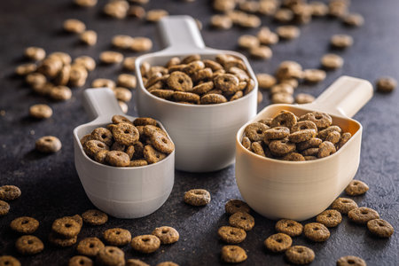 Dry kibble pet food. Dog or cat food in scoop on a black table.