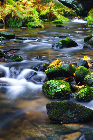 Autumn on the River Krinice in Czech Switzerlandの写真素材