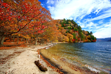 Colorful view of autumn foliage in Shobugahama walking trail at Lake Chuzenji in Nikko, Tochigi prefecture, Japanの写真素材