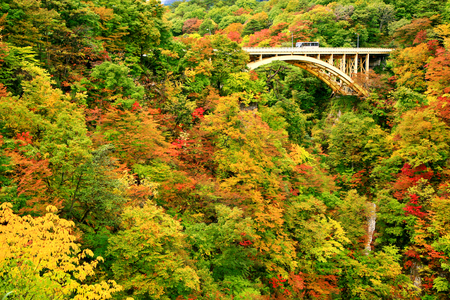 Beautiful view of a highway bridge spanning across colorful autumn foliage in Naruko gorge, Miyagi Prefectureの写真素材