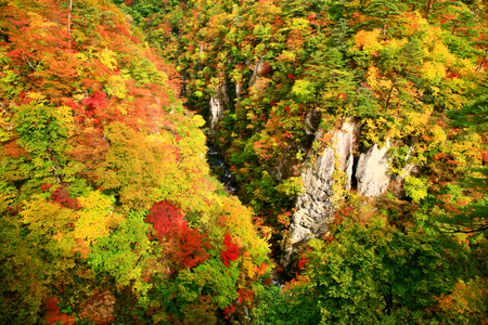 Beautiful landscape scenery of Naruko Gorge Valley with colorful autumn foliage on rocky cliffs in Miyagi, Japanの写真素材