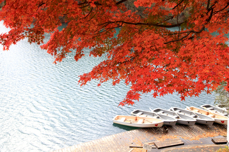 Goshikinuma or Five Colored Pond, a popular destination in Bandai Highlands (Bandai Kogen) especially for autumn color viewing in Fukushima prefecture, Japanのeditorial素材