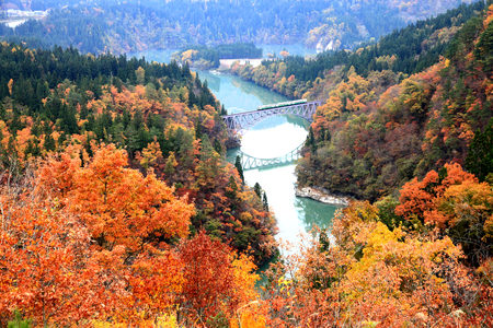 The famous views of autumn leaf over Tadami River is around First Tadami River Bridge when the train coming out from tunnel during beautiful autumn season in Fukushima, Japanのeditorial素材