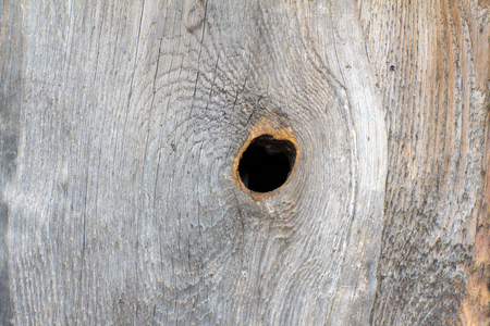 Board (plank) of wood. Old and cracked. The surface is rough and uneven.の写真素材