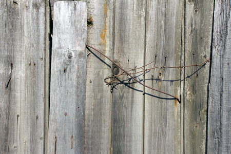 Barbed wire sticking out of the wooden fence. Metal is old and rusty.の写真素材