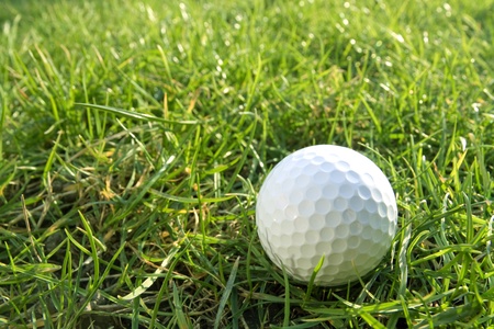 Golf ball on green grassの写真素材
