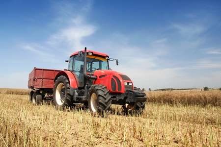 Agriculture - tractor on the field with harvested cornのeditorial素材