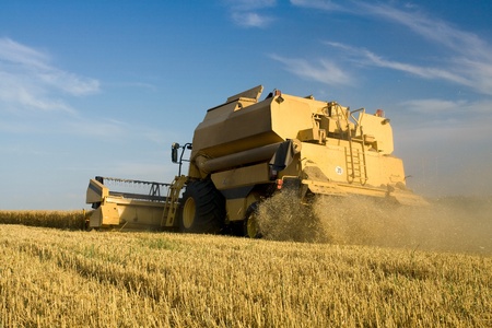 Agriculture - Combine (harvester) on the fieldのeditorial素材