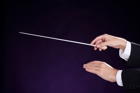 Male orchestra conductor hands, right with baton  Purple background  の写真素材