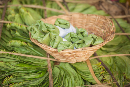 Bundle of betel leaves - traditional Indian and Sri Lankan product.の写真素材