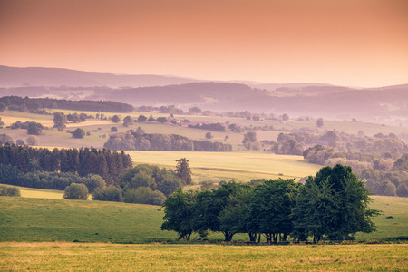 Czech (Bohemian) early morning landscape - trees, haze and hills.の写真素材