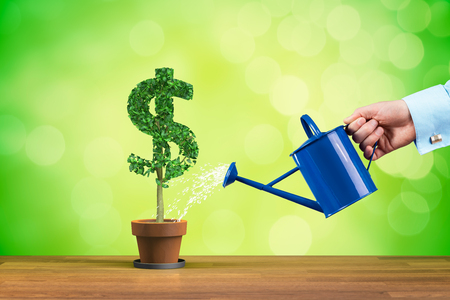 Dollar income growth concept. Income growth represented by plant in shape of dollar symbol watered by CFO, investor, stockholder and similar business person.の写真素材