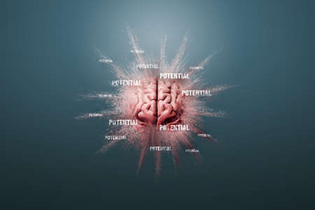 Use your potential is in your mind - personal development, mentoring and motivational concept. Human brain floating on a blue background and text idea, 3D render.の写真素材