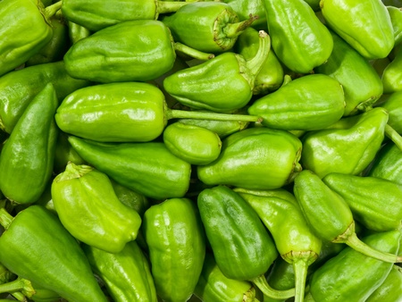 Little green peppers backgroundの写真素材