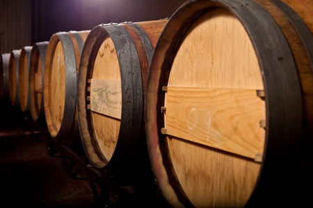Wine barrels in an aging cellar of Ribera del Duero, Spain