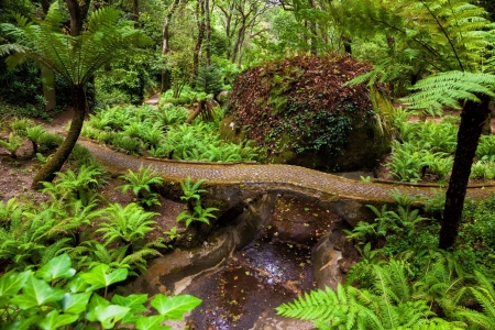 Romantic corner in the Queen\'s Fern Garden Park of Pena National Palace Sintra, Portugalのeditorial素材