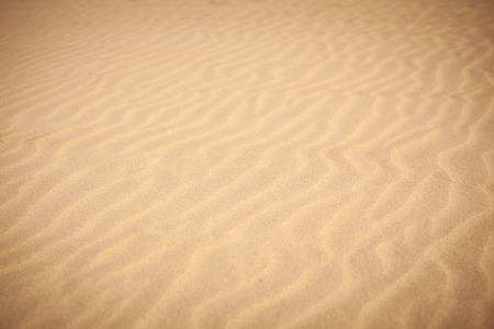 Sand waves on the beach