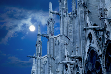 Notre Dame of Paris, North facade against the moonの写真素材