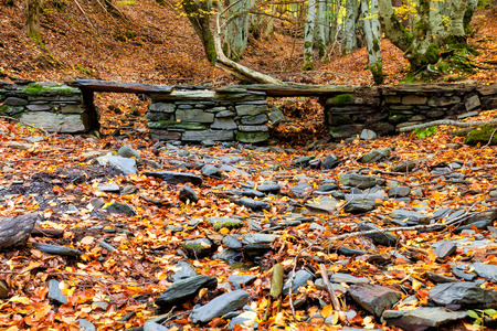 Rustic pedestrian bridge in autumn. Hayedo de Tejera Negra in Guadalajara, Spainの写真素材