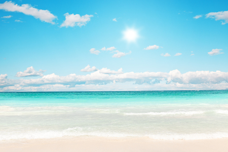 Stunning Caribbean beach with transparent waterの写真素材