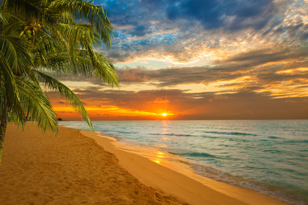 sunrise in a Caribbean beachの写真素材