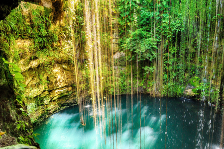 Ik-Kil Cenote near Chichen Itza, Mexico. Lovely cenote with transparent waters and hanging rootsの写真素材