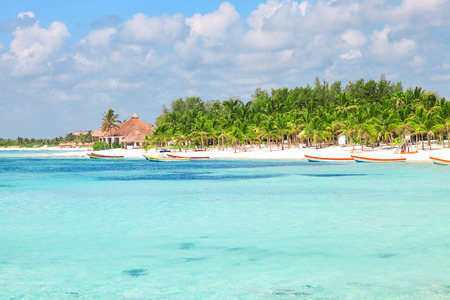 Stunning Caribbean beach with coconut palms and transparent watersの写真素材