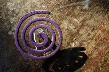 lavender mosquito coil. mosquito repellent. Anti-mosquito. Prevention of mosquito-borne diseases.の写真素材
