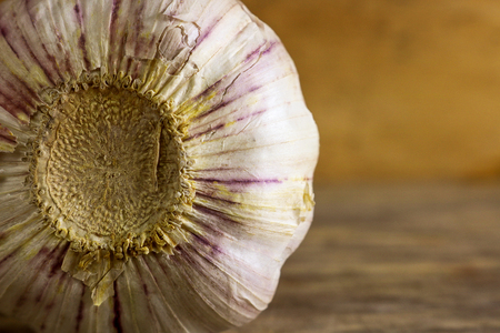 Garlic clove and garlic bulb on wooden background. Garlic has benefit to prevent heart disease, Cancer, Reduce blood pressure, Protect skin and help to lose weight.の写真素材